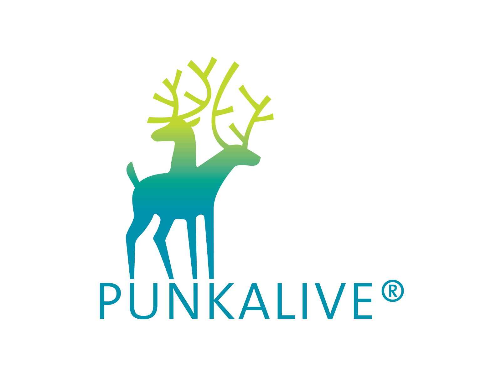 punkalive-trademark-2018-08-31
